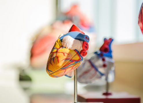 heart health