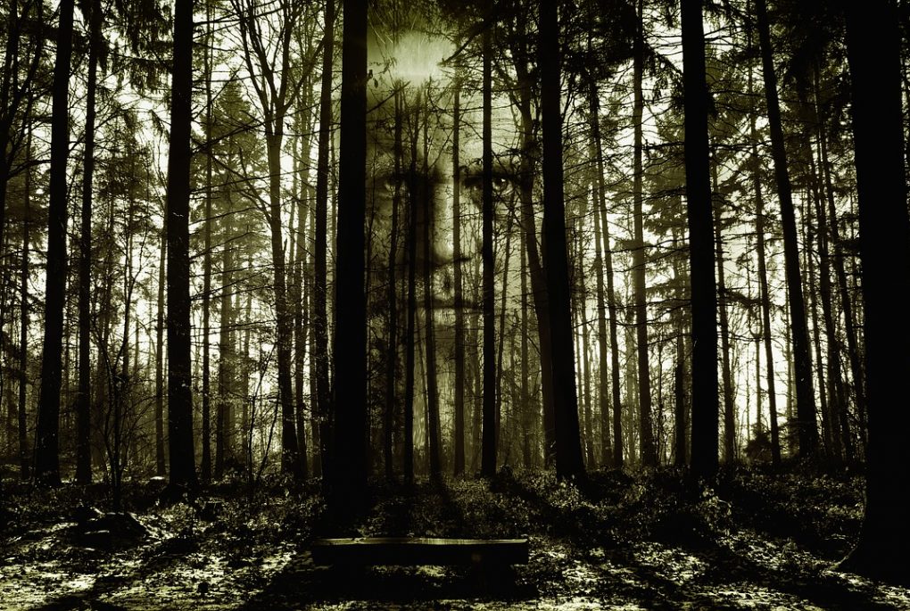 Spooky forrest with a zombie face in the background