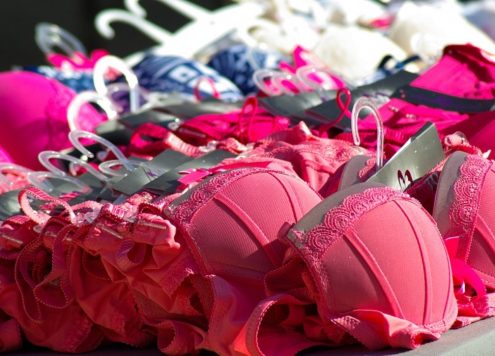 Underwear Lingerie Pink Bra