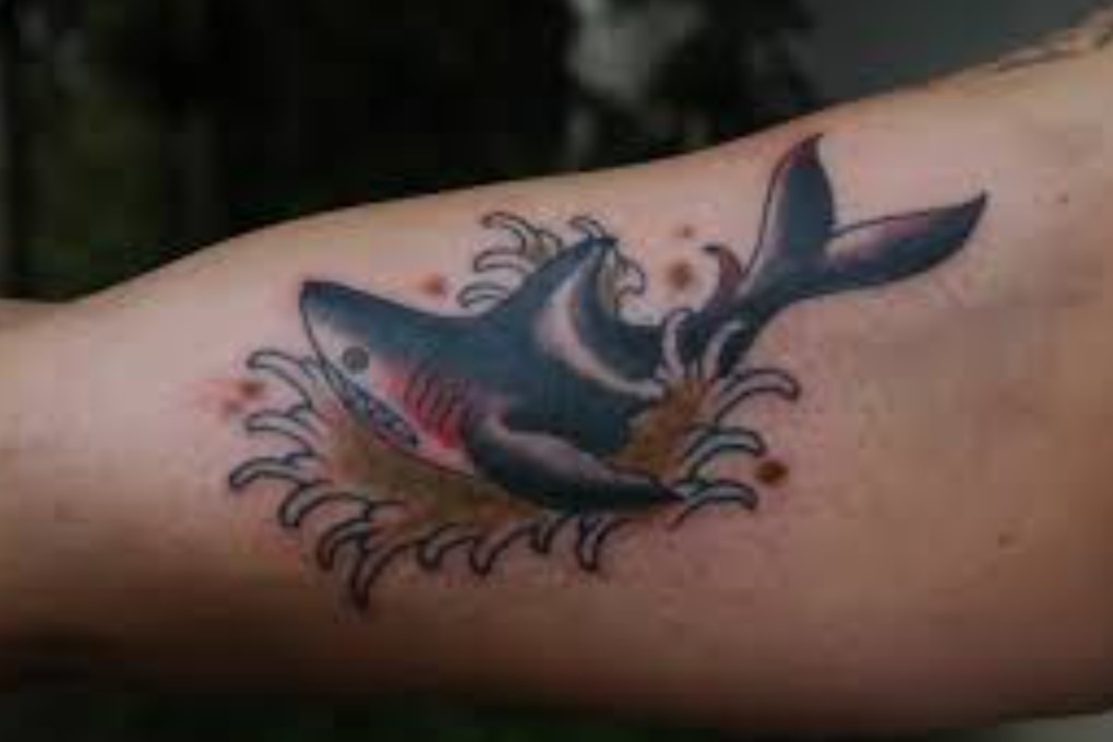 Shark tattoo